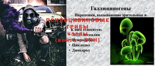 apvp Абаза