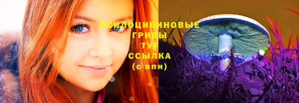 apvp Абаза