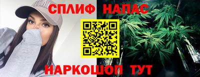стаф Краснодар