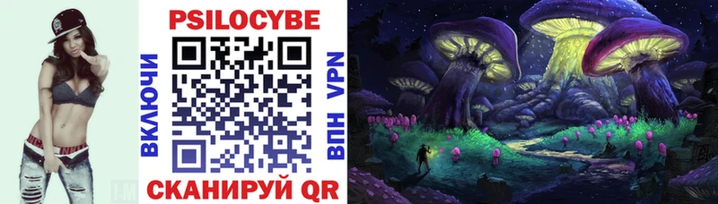 Псилоцибиновые грибы MAGIC MUSHROOMS  shop Telegram  Торжок 
