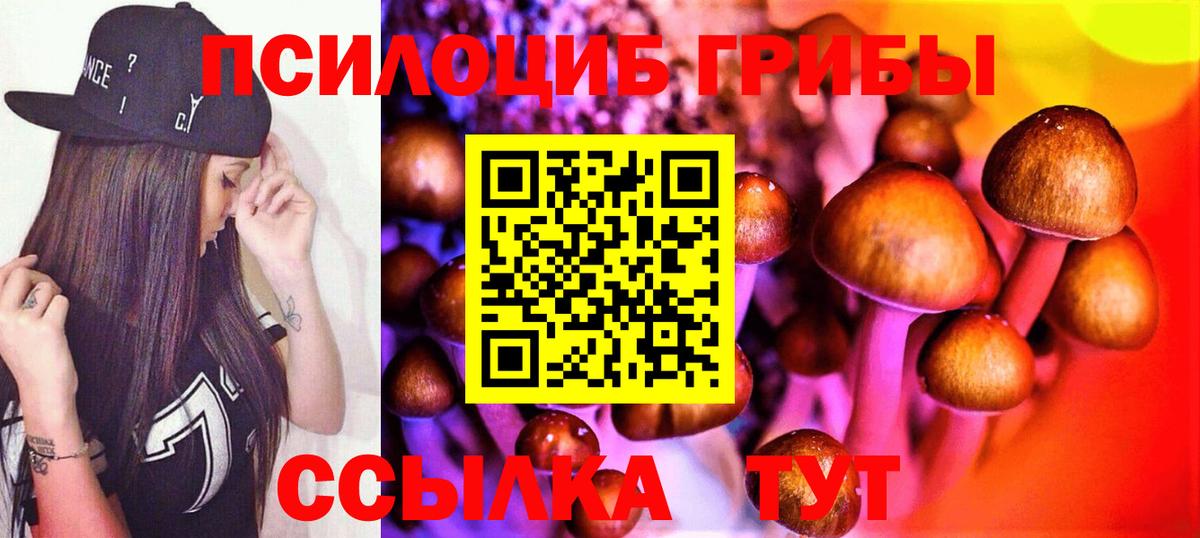 Торжок  Конопля  Вход с VPN  ГАШИШ  МЕФ   COCAIN 